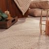 Paco Home Waschbarer Teppich Wohnzimmer Schlafzimmer Kurzflor rutschfest Flauschig Weich Moderne Einfarbige Muster, Grösse:200x280 cm, Farbe:Beige Bild 3