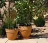 Dehner Blumentopf Levante, Terrakotta, marmoriert, orange Bild 5