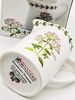 Milchkännchen OREGANO 200 ml Fragrant Garden / Maxwell & Williams / White Basics / Kännchen / Milchkrug Bild 5
