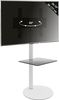 VCM Cirla 17164 Bild 2
