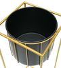 DanDiBo Blumenhocker mit Topf Metall Gold Schwarz Eckig 2er Set Blumenständer 96035 Blumensäule Modern Pflanzenständer Pflanzenhocker Bild 5