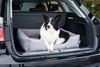 BedDog 'LUPI' Hundebett, waschbar, mit Rand, Cordura / Microfaser-Velours, THE-ROCK (schwarz/grau), L 55 x B 40 x H 17 cm Bild 3