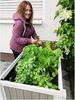 HABAU Klara Hochbeet, weiß/grau Bild 4