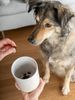 TrendPet Aufbewahrungsdose Clay Snackdose, rutschfester Boden Bild 4