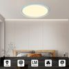 LQWELL® Deckenleuchte LED Deckenlampe, 1,6CM Ultradünn Rund Flach IP44 Wasserfest Badlampe 24W 3000K 2500LM Modern für Wohnzimmer Badezimmer Schlafzimmer Küche Balkon Keller Büro, 300 * 16mm Bild 2
