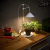 Northpoint Pflanzenlampe LED Pflanzenleuchte Kräutergarten aus Echtholz 9W 550 Lumen Timer Bild 4