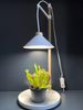 Northpoint Pflanzenlampe LED Pflanzenleuchte Kräutergarten aus Echtholz 9W 550 Lumen Timer Bild 5