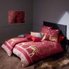 Fleuresse Feinbiber Bettwäsche Aspen Rehe beere|155x220 cm + 80x80 cm Bild 2