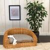 Hundebett Prince 64x43 cm, Weide geflochten, mit Kissen braun Bild 3