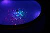 SUMMER FUN LED Gartenleuchte LED Unterwasserlichtershow, Summer Fun Bild 5