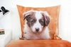 Bettwäsche Set mit Hund Welpe135 x 200 cm 80 x 80 cm 100% Baumwolle Bild 3