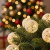 Provance Lichterkette LED Lichterkette Weiß mit 10 Großen Kugeln Innen Bild 4