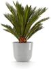 ECOPOTS Blumentopf Oslo 25 + Wassersystem Weißgrau, für innen und außen: frostsicher, bruchsicher und lichtbeständig Bild 4