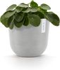 ECOPOTS Blumentopf Oslo 25 + Wassersystem Weißgrau, für innen und außen: frostsicher, bruchsicher und lichtbeständig Bild 2