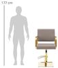 Physa Armlehnstuhl Friseurstuhl mit Fußstütze Höhe 49 - 65 cm Friseursessel 200 kg, Beige, Golden Bild 2