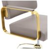 Physa Armlehnstuhl Friseurstuhl mit Fußstütze Höhe 49 - 65 cm Friseursessel 200 kg, Beige, Golden Bild 4