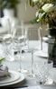 Lyngby Glas Krystal Melodia Whisky Glass 31 cl - Set of 6 Bild 5