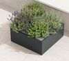 Herstera Garden Cube Low L | flacher Outdoor Bild 2