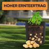 Praknu Pflanzkübel Kartoffelsack Pflanzsack 3er Set - 40L Groß - Mit Sichtfenster und (3er Set, 3 St) Bild 5