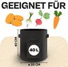 Praknu Pflanzkübel Kartoffelsack Pflanzsack 3er Set - 40L Groß - Mit Sichtfenster und (3er Set, 3 St) Bild 2