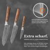 ZAYIKO Damastmesser KASSHOKU SET 3-tlg "SANTOKU, kl. SANTOKU, Officemesser" - Pakka - VG-10 Stahl Bild 3
