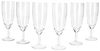 MamboCat Sektglas 6er Set Royal Sektgläser 140ml Champagner-Glas klare Prosecco Party, Glas Bild 2