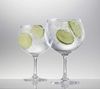 Schott Zwiesel Bar Special Gin Tonic 2er Set Longdrinkgläser im Geschenkkarton 120017 + Gratis 4er Set EKM Living Edelstahl Trinkhalme Bild 2