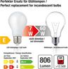 hellum LED Glühbirne E27, 7W warmweiß LED Lampe mit 806 Lumen LED Filament, E27 Vintage Led Leuchtmittel ersetzt 60-Watt Glühbirne, 2700 Kelvin E27 led warmweiss Matt, 206210 Bild 3