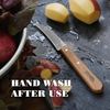 Opinel Kitchen N°114 - Gemüsemesser - 7 cm - Natural Bild 4
