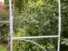DanDiBo Rosenbogen Metall Verzinkt Massiv 120 cm Torbogen 96518 Wetterfest Rundbogen Volleisen Rankhilfe Gartenbogen Feuerverzinkt Bild 3