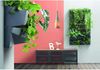 Prosperplast Blumenkasten IO3W800-S433 (2 St), Grüne Wand Blumenkasten Vertikales Gartensystem Bild 5