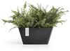 ECOPOTS Blumentopf BERLIN Dark Grey, BxTxH: 31x31x15,5 cm Bild 2