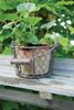 Blumen Topf im Draht Korb mit Henkel aus Aged Terracotta, Weichstahl und Holz Bild 2