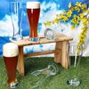 MamboCat Bierglas MamboCat 12x Sepp Weizenbiergläser Set 0,5 L geeicht Klarglas Weißbier, Glas Bild 5
