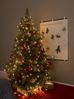 LED Baummantel Lichterkette - 8 Stränge jeweils 30 ultra warmweißen LED - L: 2,4m - Glimmereffekt Bild 5