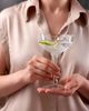 Sektschale / Cocktailschale Timeless 25,5cl - 4 Stück Bild 4