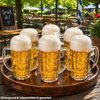 MamboCat Bierglas MamboCat 12er Set Mani Bierkrug 0,5L geeicht Schild Henkel Seidel Glas, Glas Bild 3