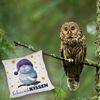 speecheese Dekokissen Schlafende Eule Kissen mit Spruch SchnarchKissen Bild 5