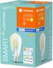LEDVANCE LED-Leuchtmittel Edison 60 Filament (5,5 W, E27, transparent, kerzenform) Bild 2