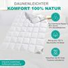 Typ Eiderdaune Silverstar warme Winterdecke 90/10 Daune Aussensteg 155x220 cm Bild 3