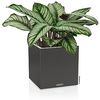 LECHUZA Pflanzgefäß CANTO Stone 30 LED Low ALL-IN-ONE 30x30 cm Schwarz 446095 Bild 2