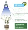 Parus by Venso GrowLight Winter E27 LED, 18W, Vollspektrum Bild 3