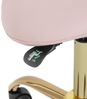 Physa Drehstuhl Sattelstuhl Sattelhocker mit Lehne Rollhocker Rosa/Golden, Zartrosa, Golden Bild 4