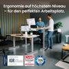 Desktopia Pro X - Elektrisch höhenverstellbarer Schreibtisch / Ergonomischer Tisch mit Memory-Funktion, Weiß, Gestell Grau, 160x80 cm Bild 3