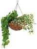 Blumenampel 35cm mit Kokosfaser Pflanzeinlage Hängeampel Hängeschale Pflanztopf Bild 5
