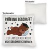 speecheese Dekokissen Schlafender Bär mit Doktorhut Kuschelkissen Spruch Prüfung bestanden Bild 3