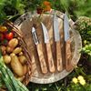 Opinel Küchenmesser-Set 4-teilig Holzgriff Bild 3