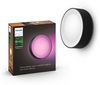 Philips Hue White and Color Ambiance LED Außenwandleuchte Daylo, dimmbar, bis zu 16 Millionen Farben, steuerbar via App, kompatibel mit Amazon Alexa (Echo, Echo Dot), schwarz Bild 3