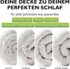 etérea Microfaser Steppdecke Frieda Medium Made in Germany 200x220 cm Bild 3