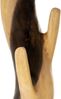 Divero Garderobenständer Kleiderständer Mantelständer Garderobe – Baumstamm Suar-Holz behandelt massiv stabil – Handarbeit Unikat – ca. 190 cm Bild 4